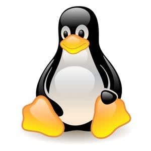 Linux Commands For Beginners: LS